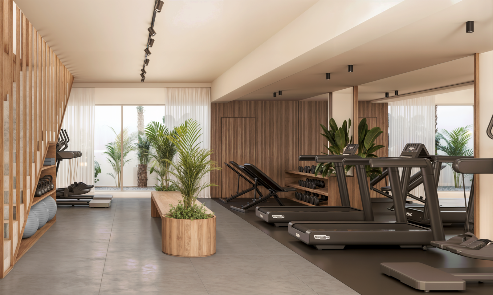 Gimnasio_02